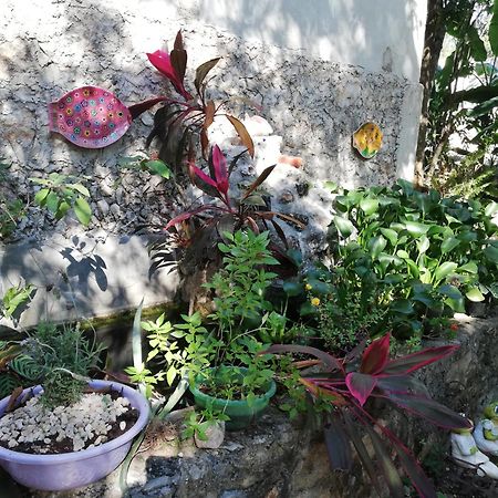 Mayan Bungalow Near Chichen Ngoại thất bức ảnh