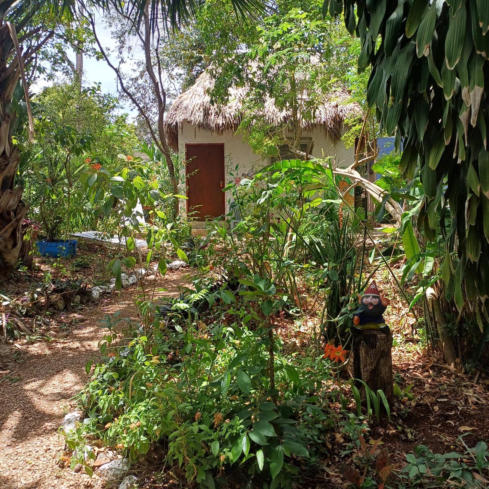Mayan Bungalow Near Chichen Ngoại thất bức ảnh