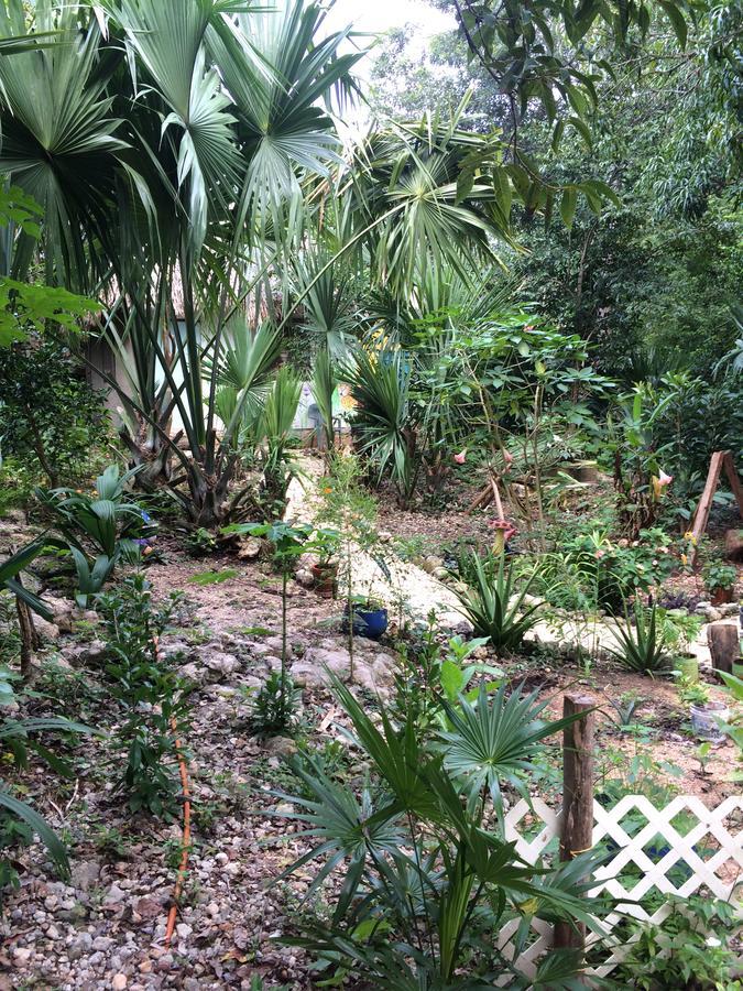 Mayan Bungalow Near Chichen Ngoại thất bức ảnh