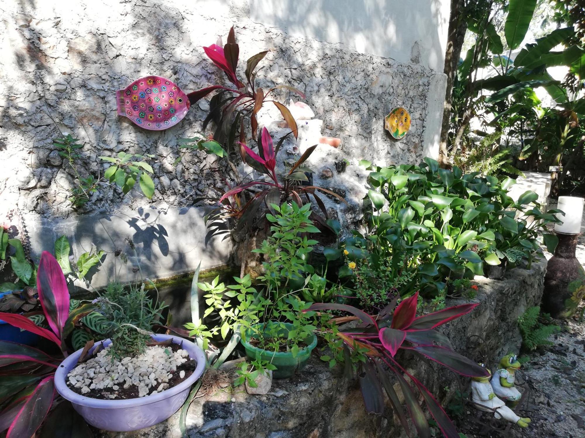 Mayan Bungalow Near Chichen Ngoại thất bức ảnh